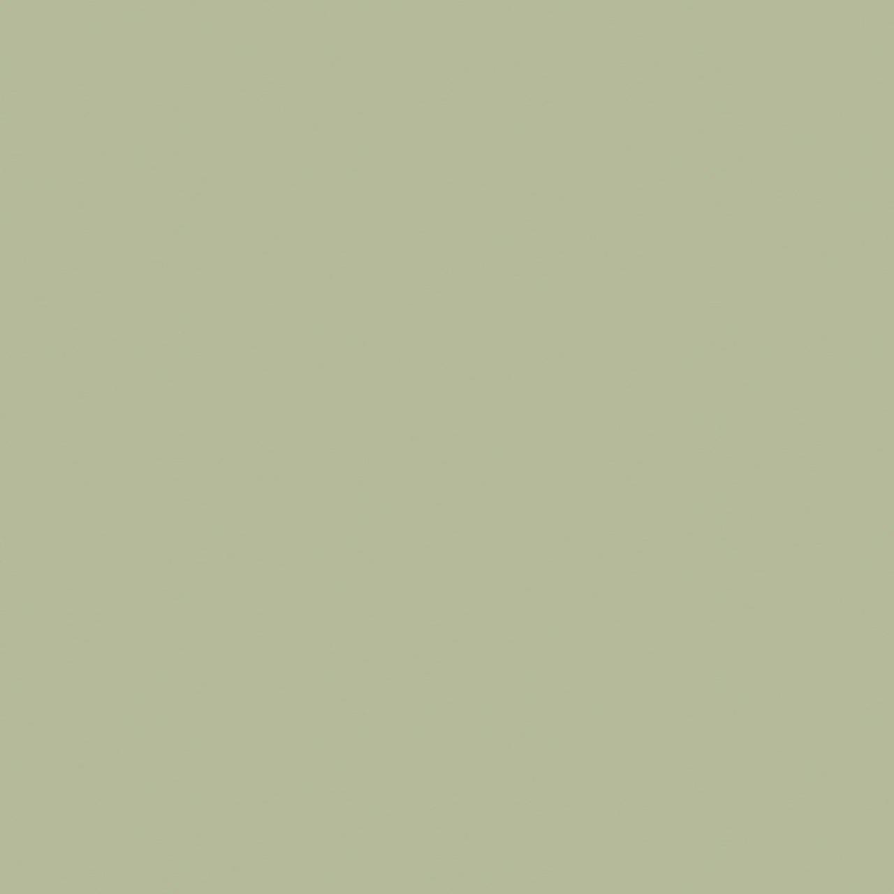 KAINDL 22458 MN Avocado Green