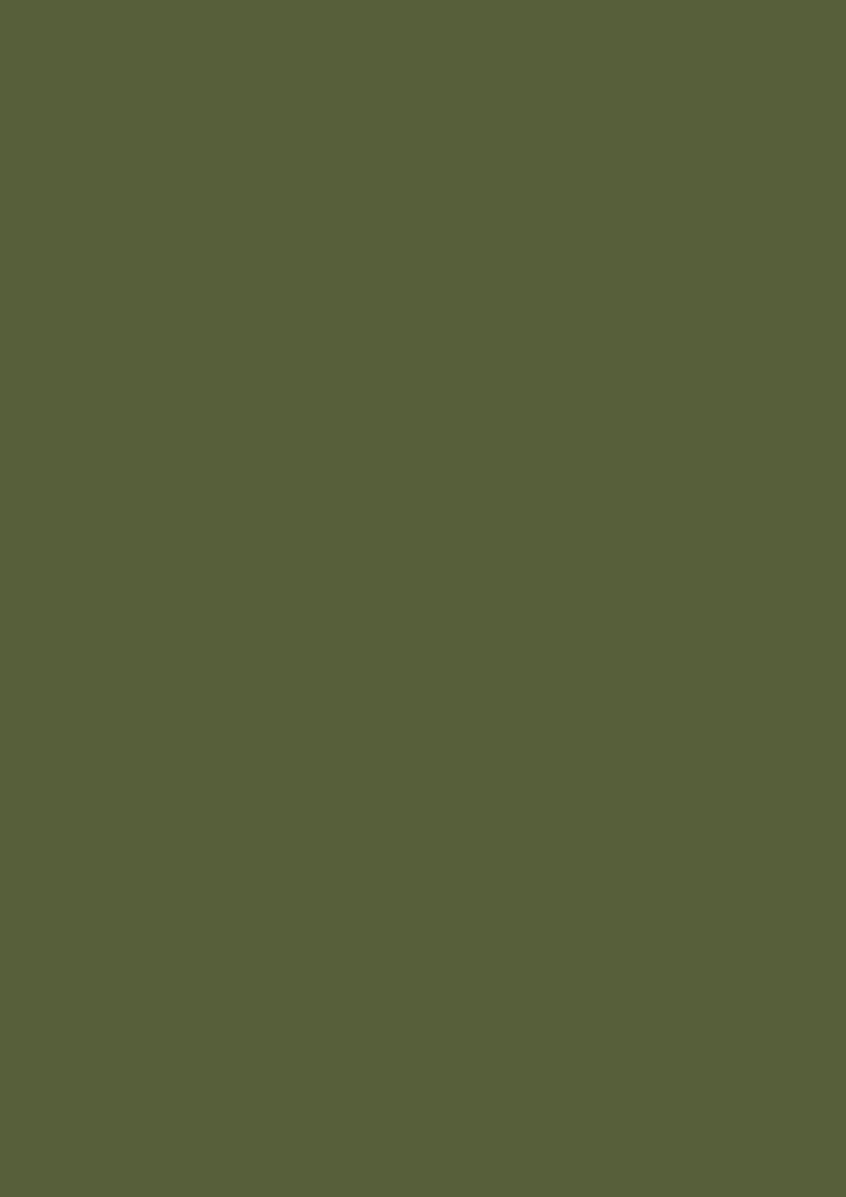 KAINDL 25736 MN Moss Green
