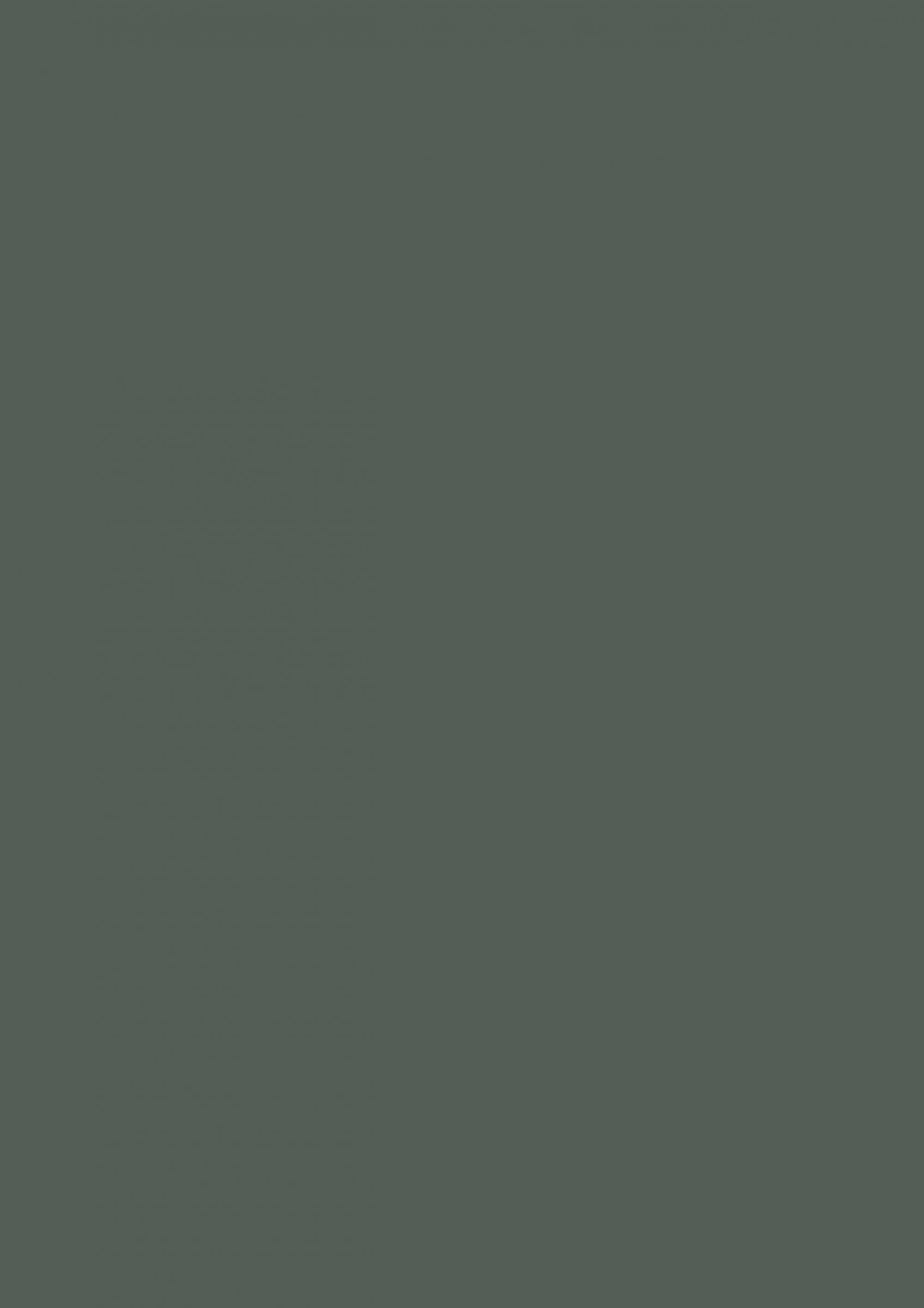 KAINDL 25737 MN Verde