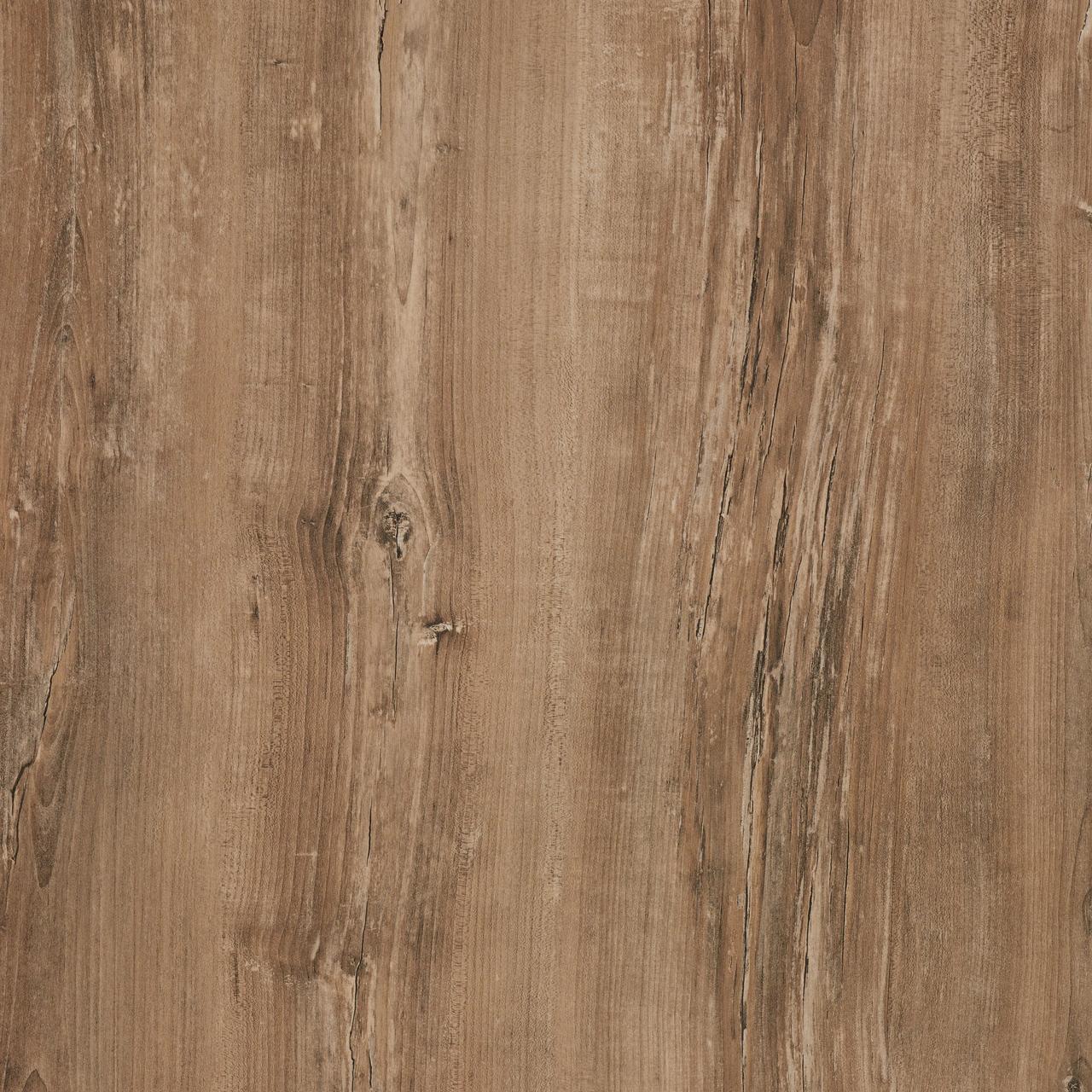 KAINDL 34232 AT Arizona Pine