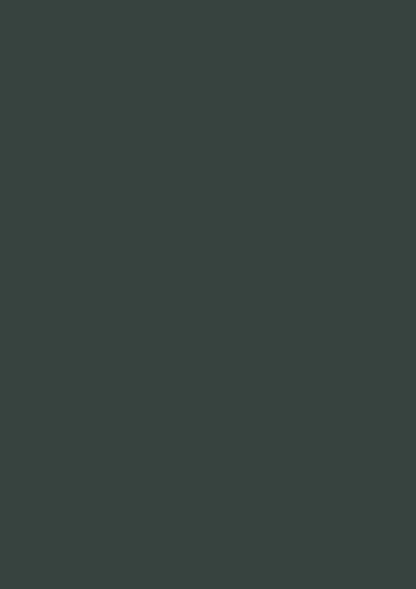 KAINDL 25735 OM Black Green