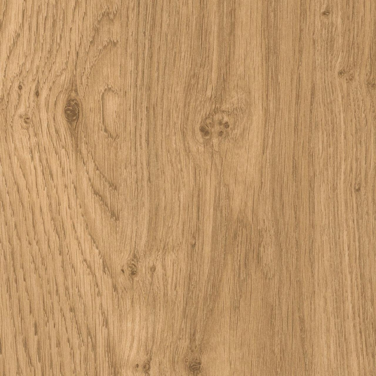 KAINDL 38932 AN Oak Wild