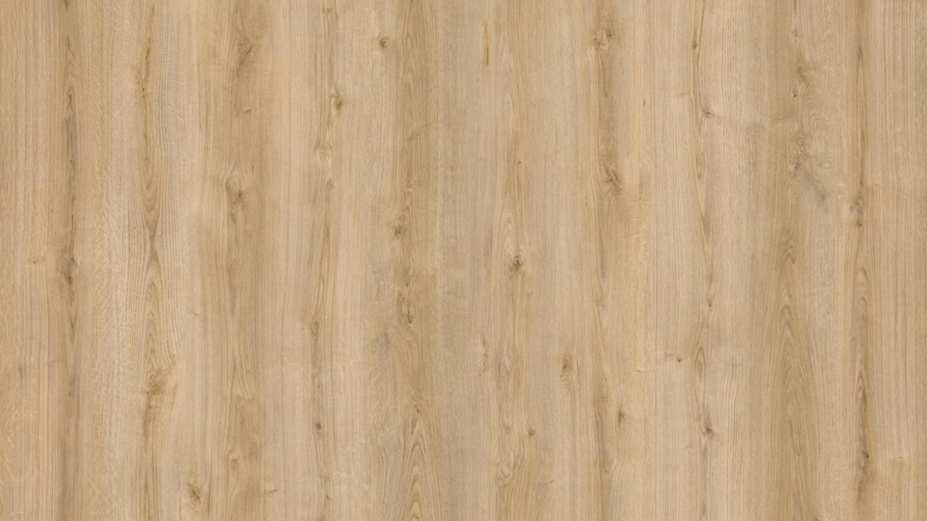 KAINDL K442O Oak Evoke Classic