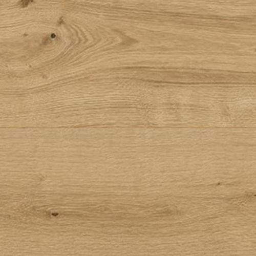 S341AS Oak Pisa