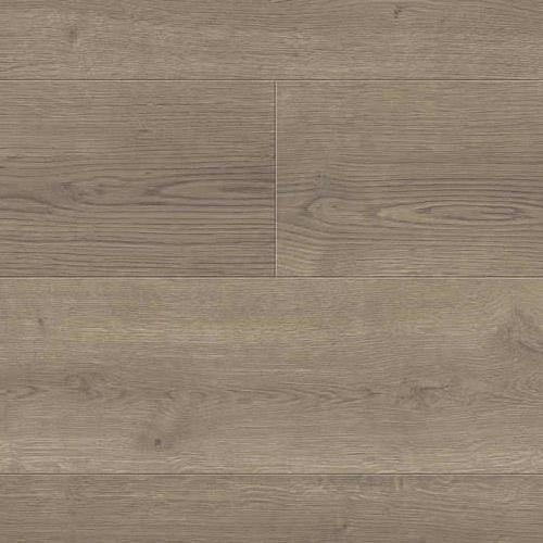 544678 Oak Bari Grey