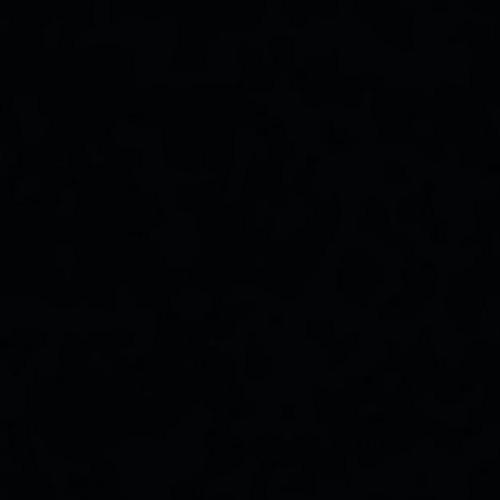 2190 MN Black