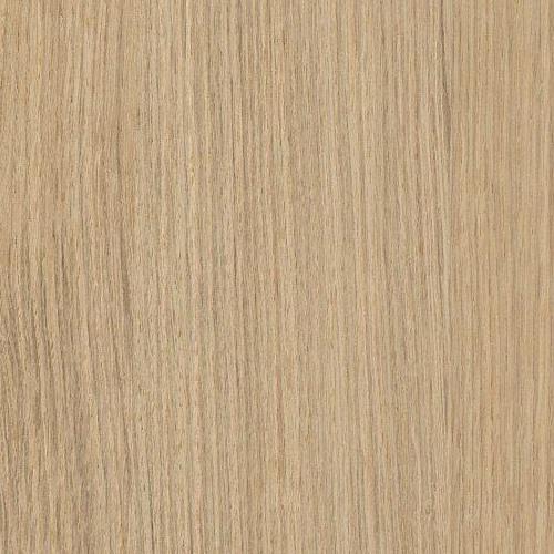 European Oak