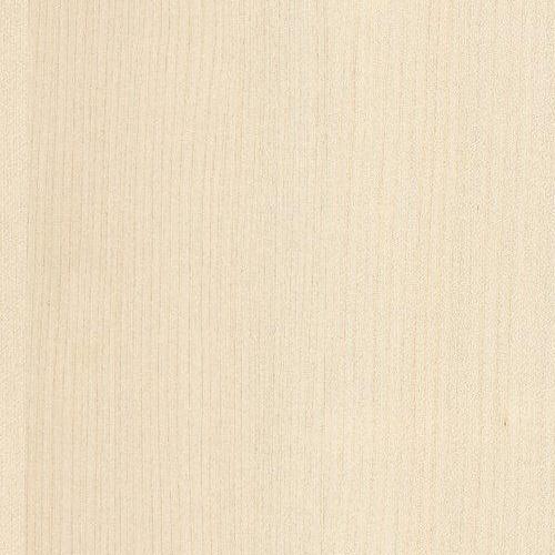 European Maple