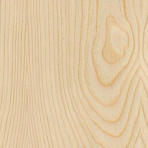Spruce