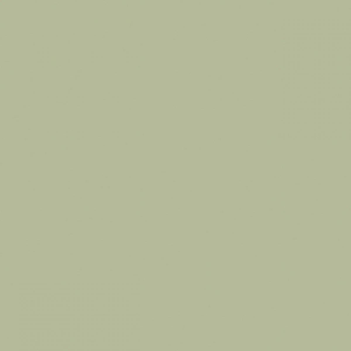 KAINDL 22458 MN Avocado Green