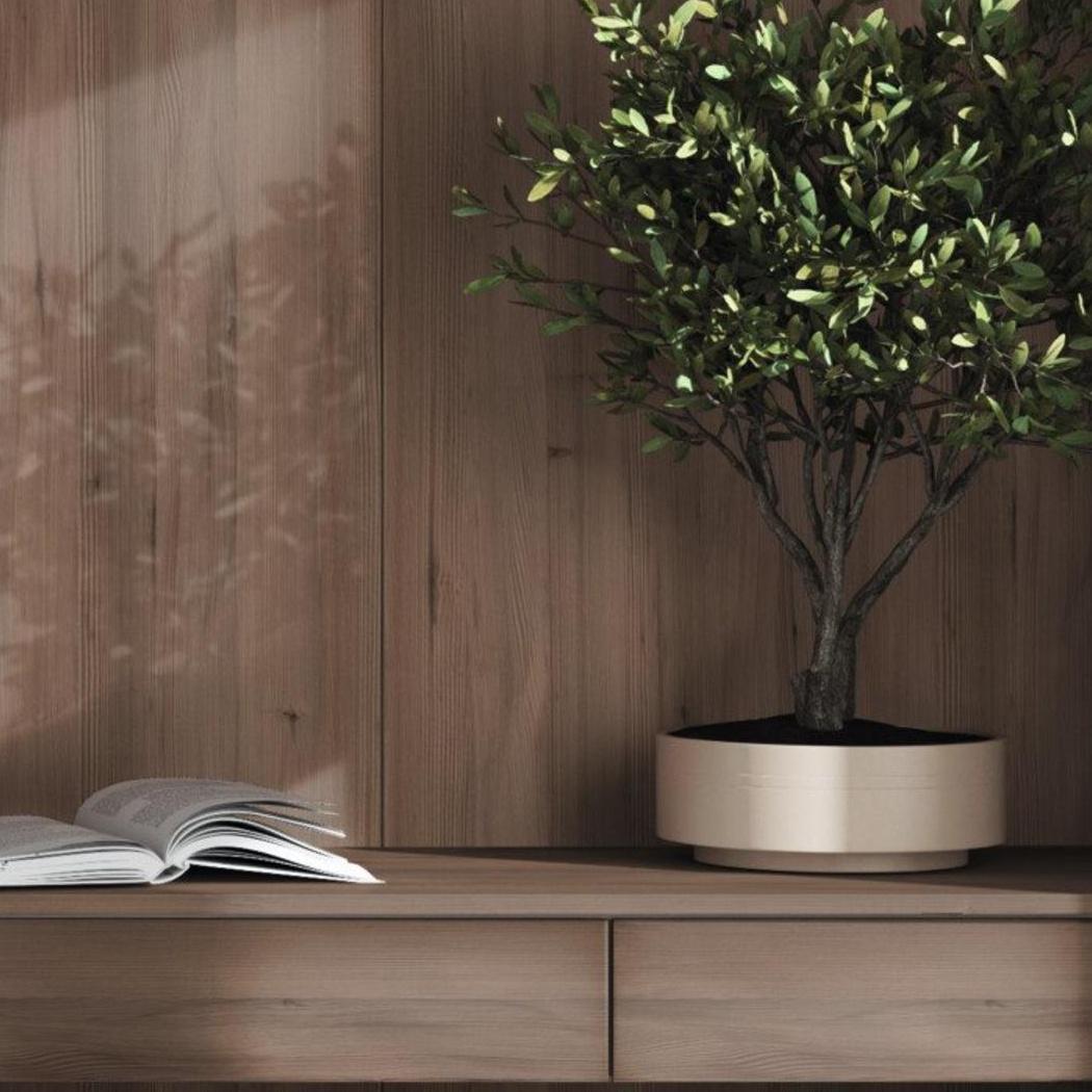 WOODline Natural