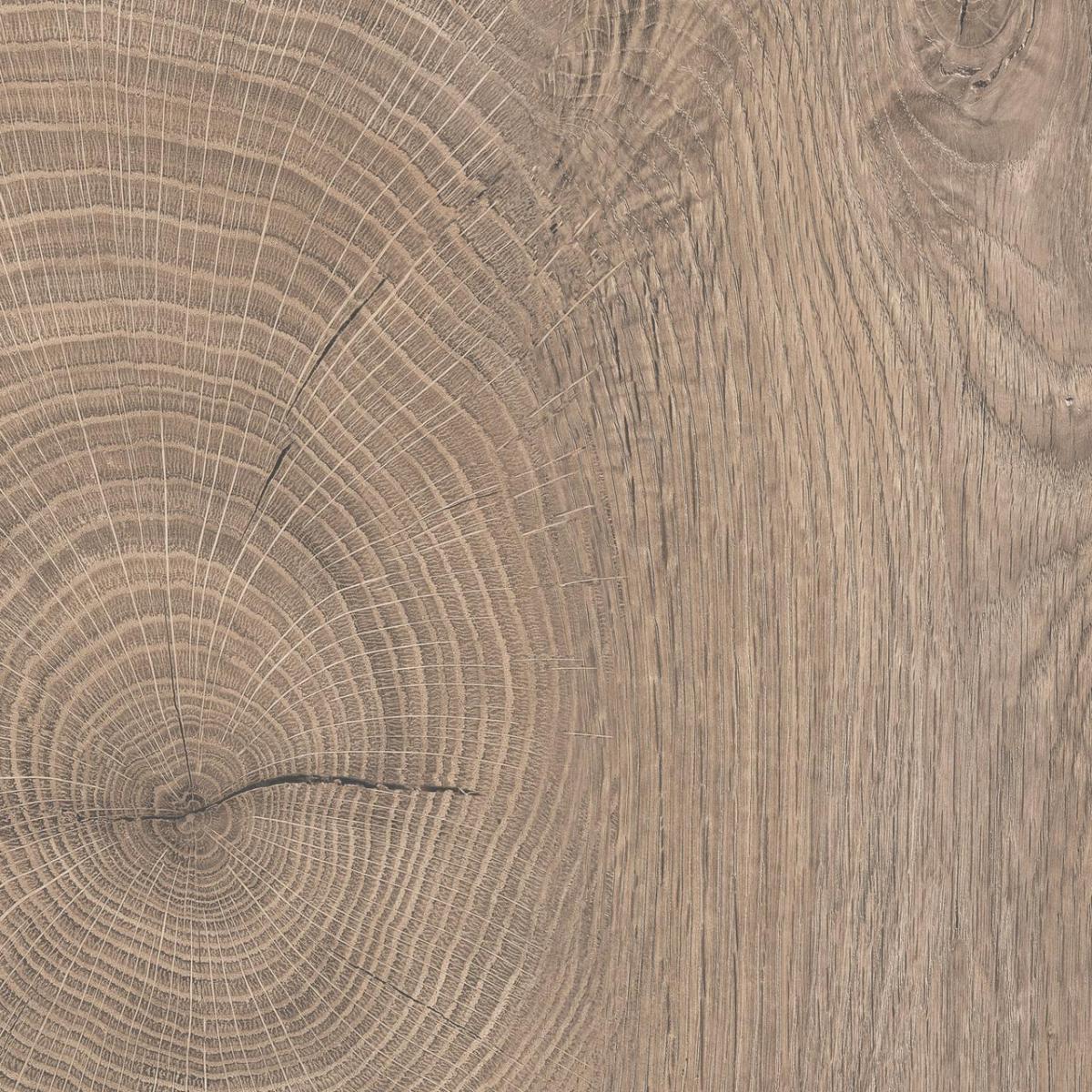 KAINDL K5412 Oak ENDgrain Raw
