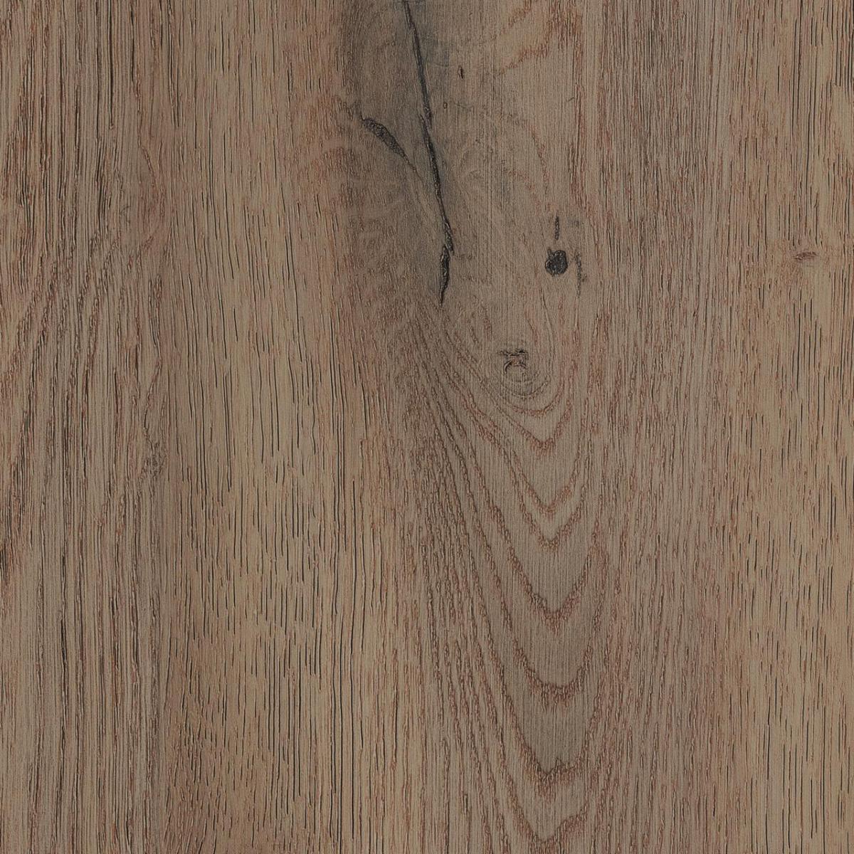 KAINDL K2773 Oak Cremona Tartufo