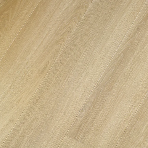 305 Cordoba oak