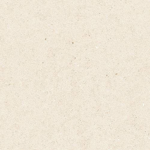Beige Ret Pro 60x119,8