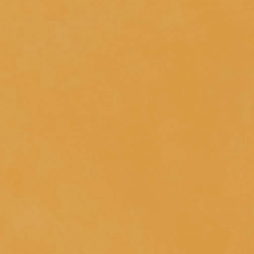 Brush Pro Camel 33x100