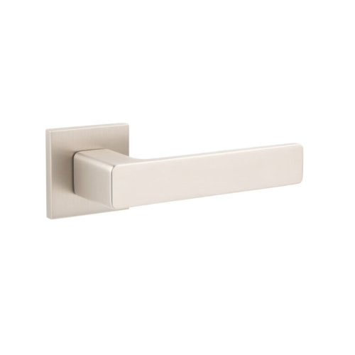 ECOVISION S REGULUS (NISM)