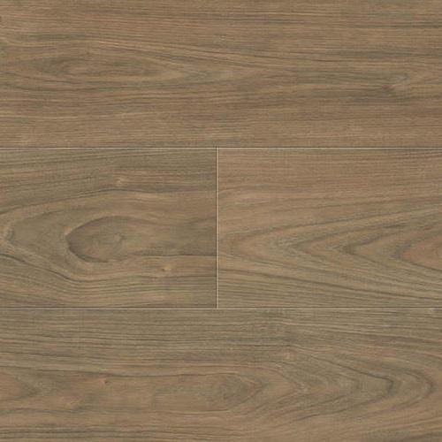 544720 Elm Vario