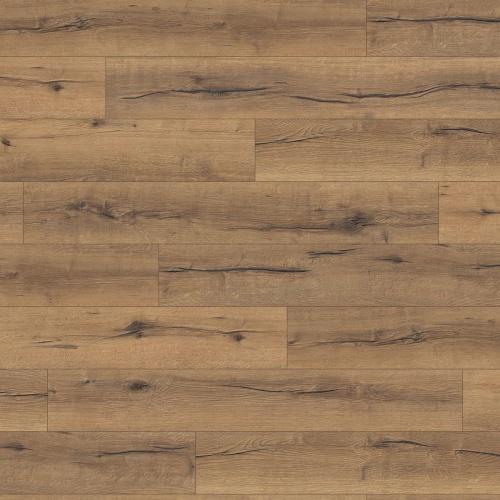 530335 Oak Italica Nature