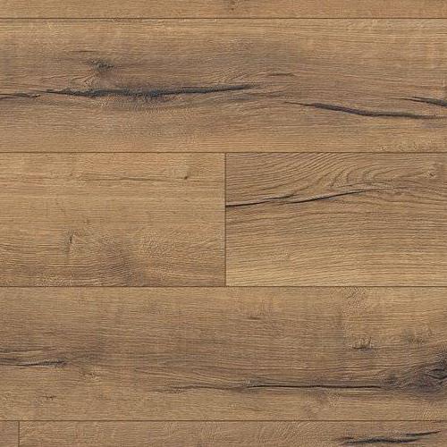 530335 Oak Italica Nature