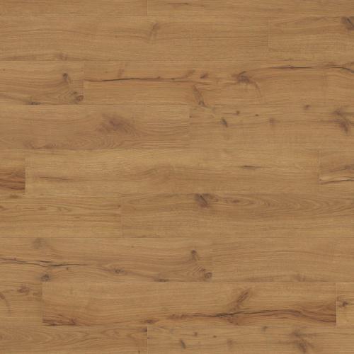 542069 Alpine Oak Nature