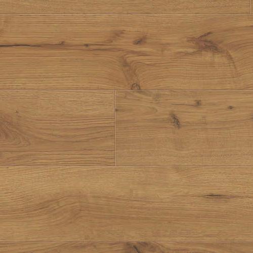 542069 Alpine Oak Nature