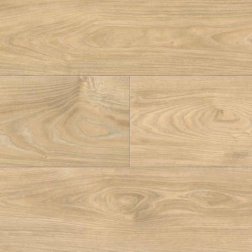 544693 Chestnut Varese