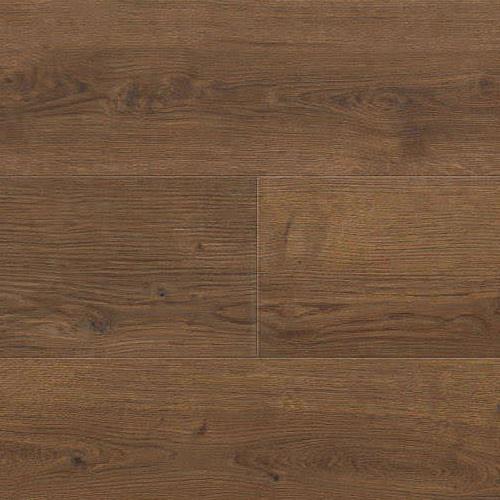 544675 Oak Bari Amber