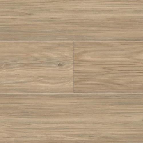 544687 Pine Florence