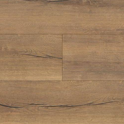 530338 Oak Italica Nature