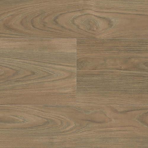 544744 Elm vario