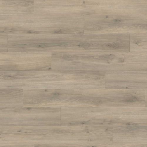 540244 Oak Emilia Velvet Grey