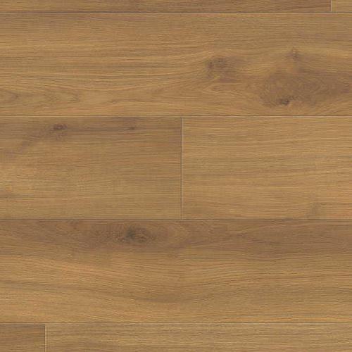 540242 Oak Emilia Honey