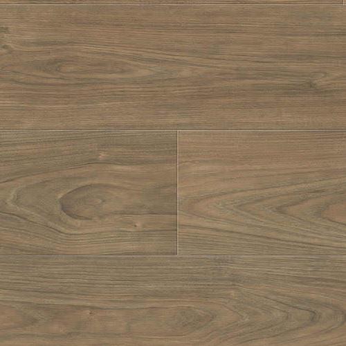 544784 Elm Vario