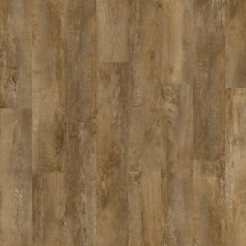 Country Oak 24842